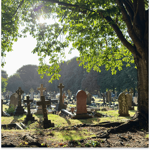 Plaques, Vases & Ornaments